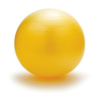 Exercise Ball Image Exercise Ball Image