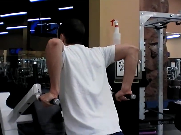 Dips (Dip Machine) Image