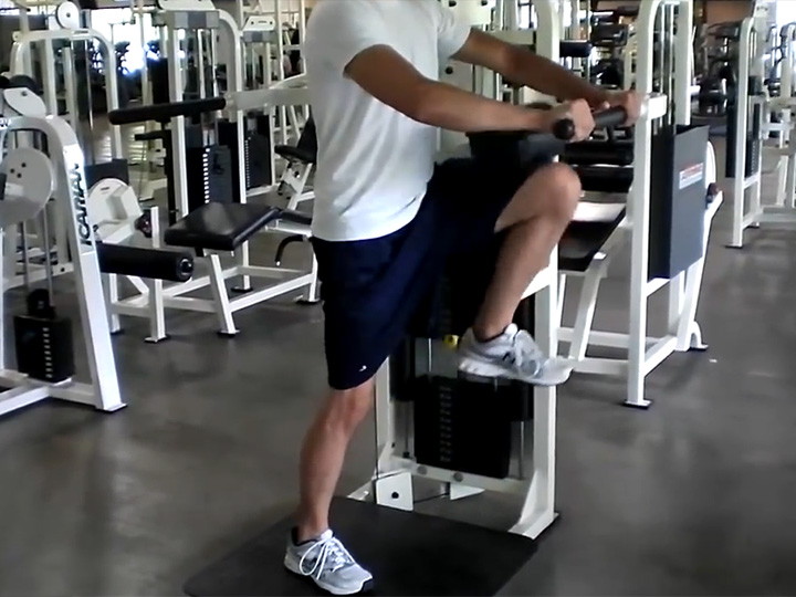 Standing Knee-Ups (Machine) Image