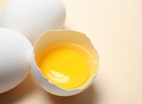 Protein in the Diet Image Protein in the Diet Image
