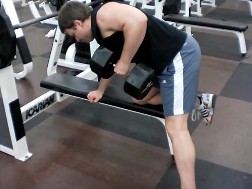 One-Arm Rows / Bent-Over Rows (Dumbbell) Image