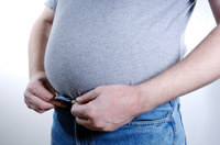 Visceral Fat Image Visceral Fat Image