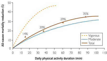 Ideal Activity Chart