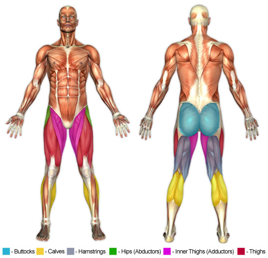 Inner Thigh (Adductor) Exercises